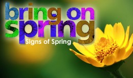 springiscoming