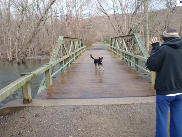 dotythe-original-doty-bridge